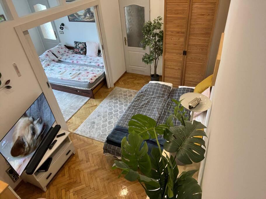 Awesome, 15 Mins To Center Home Budapeste Exterior foto